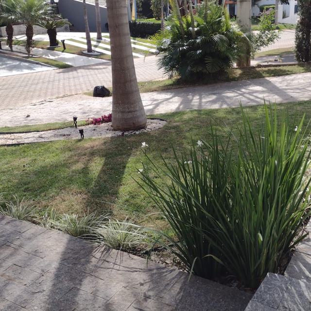 Canteiro triangular com grama, capim ornamental e piso de pedra